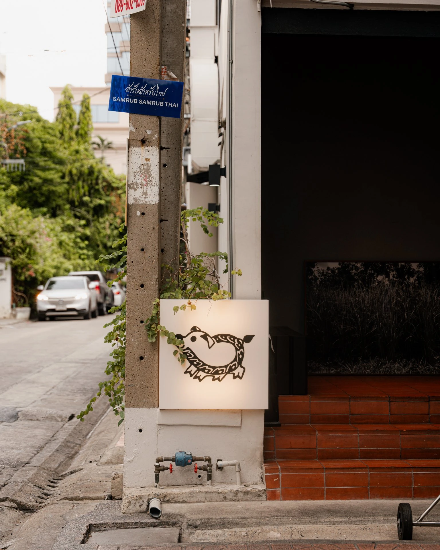 Tatler-Гид по аутентичному Бангкоку: Eat, Sleep, Rave, Repeat