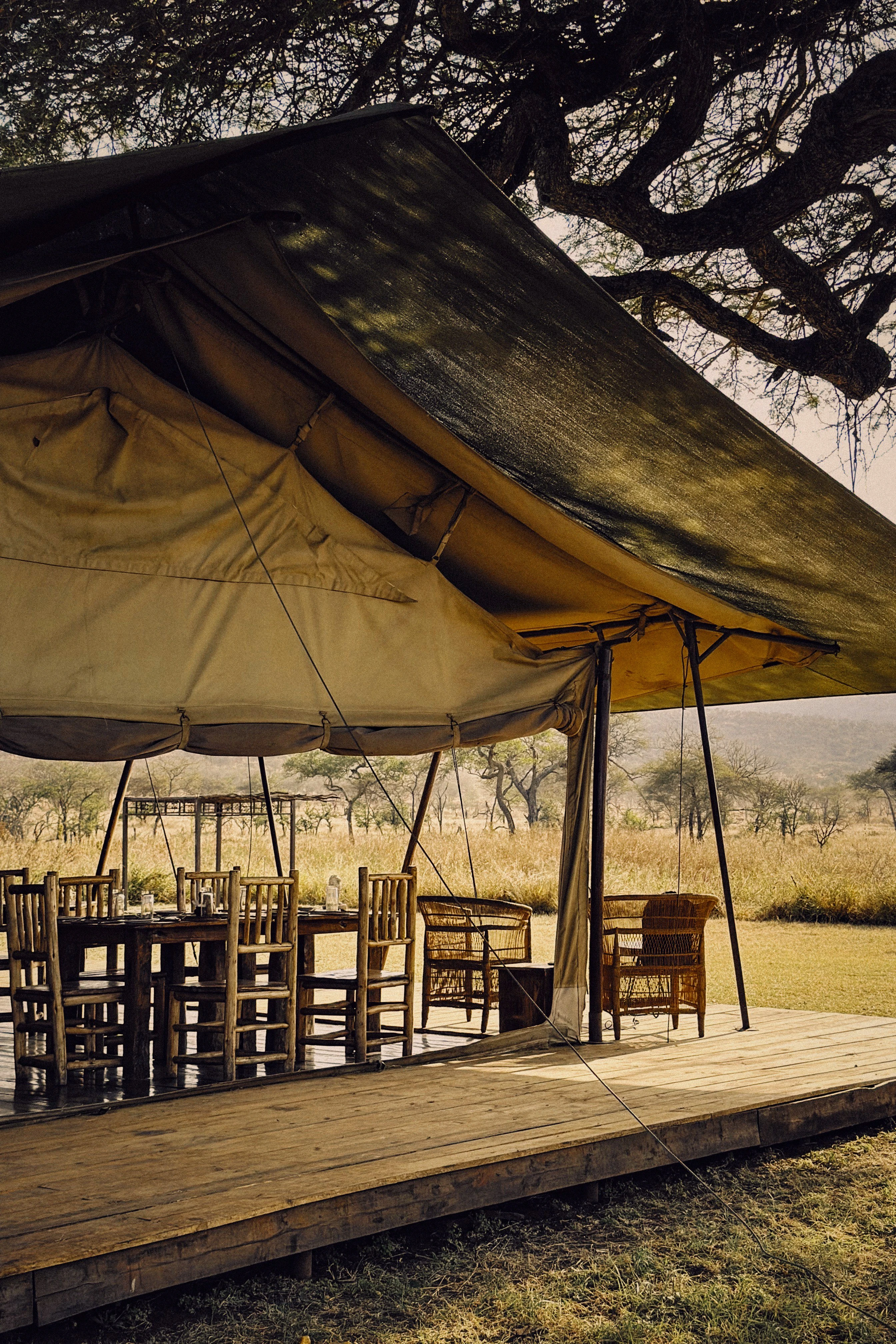 География чувств