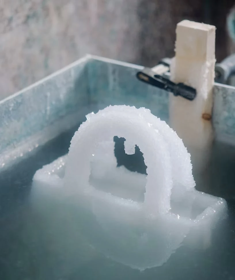 Кристаллизованная Lady Dior: символ роста и силы природы