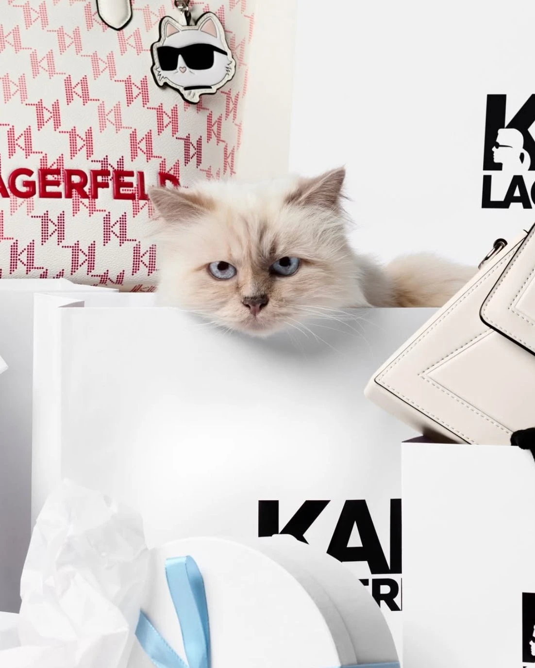 Instagram @karllagerfeld