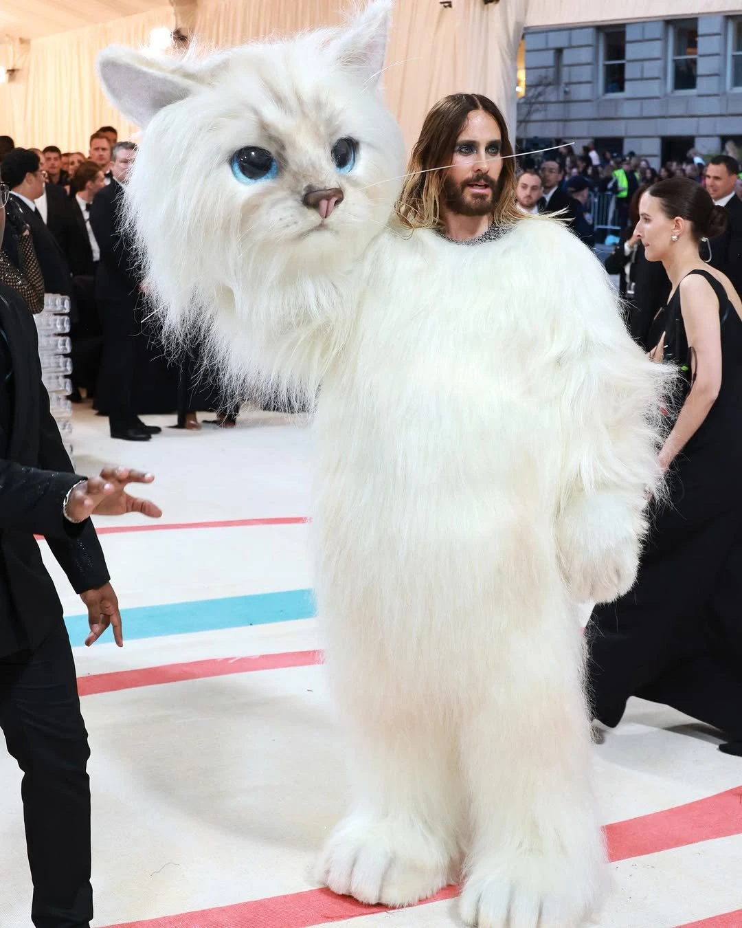 Instagram @karllagerfeld