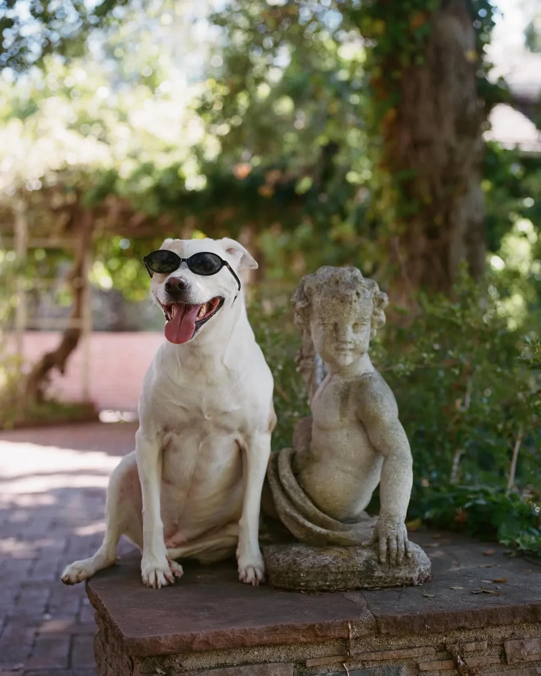 Instagram @sydney_sweeney