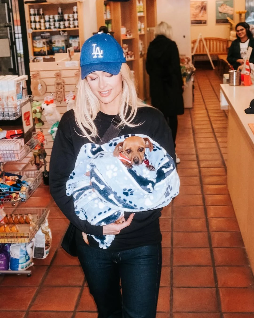 Жұлдыздардың үй жануарлары: сән-салтанат пен сүйіспеншіліктің символы