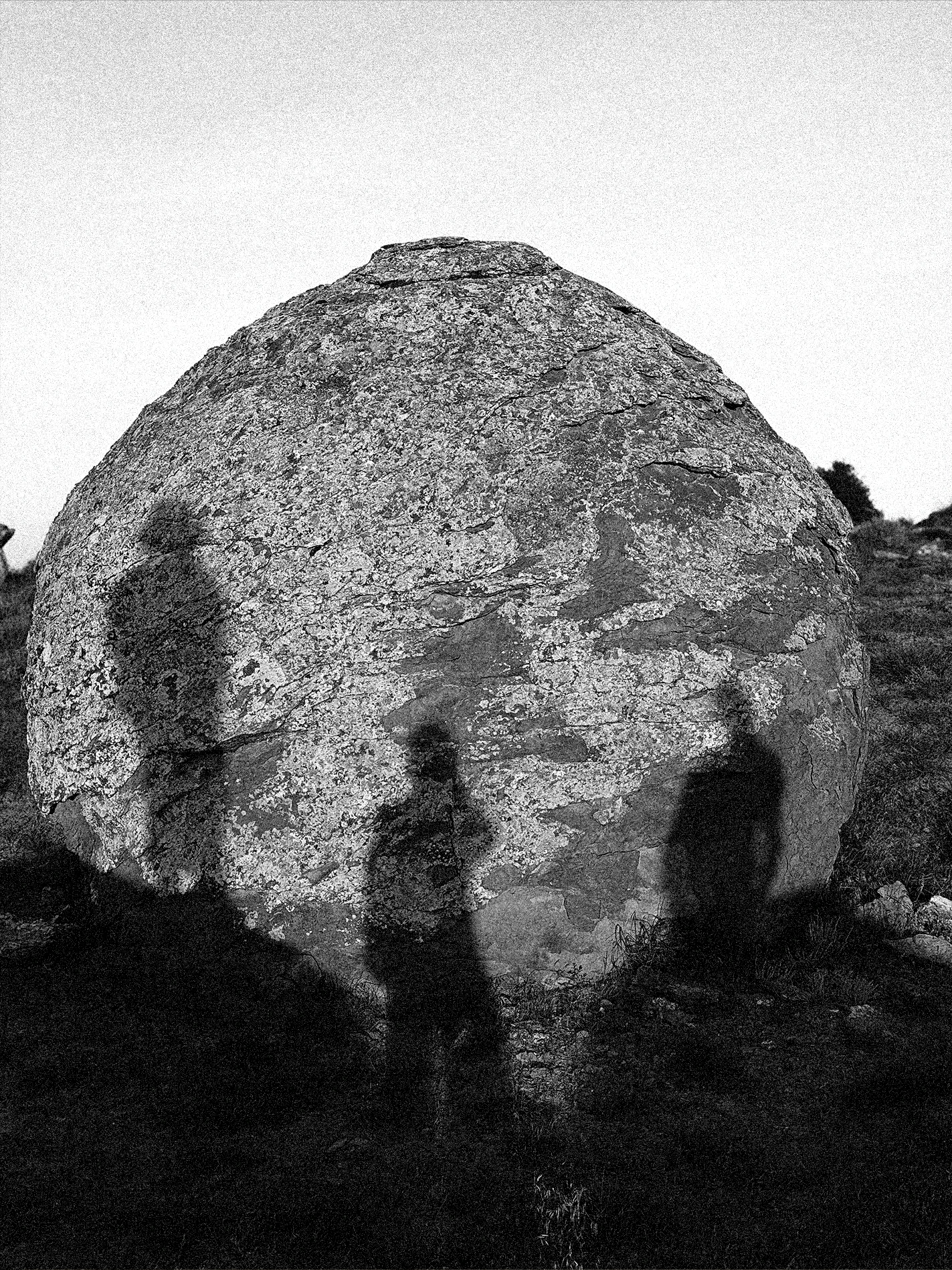 Фотограф: Диана Башаева