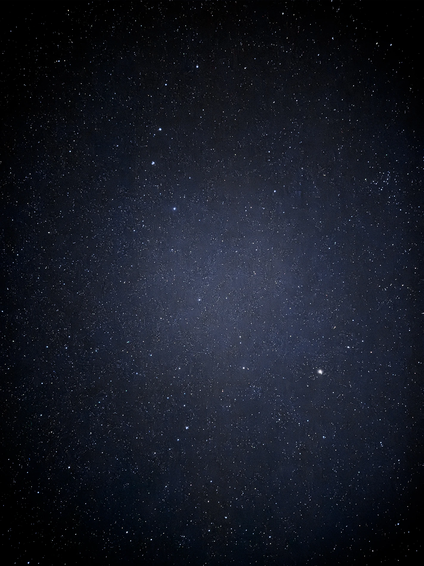 Фотограф: Диана Башаева