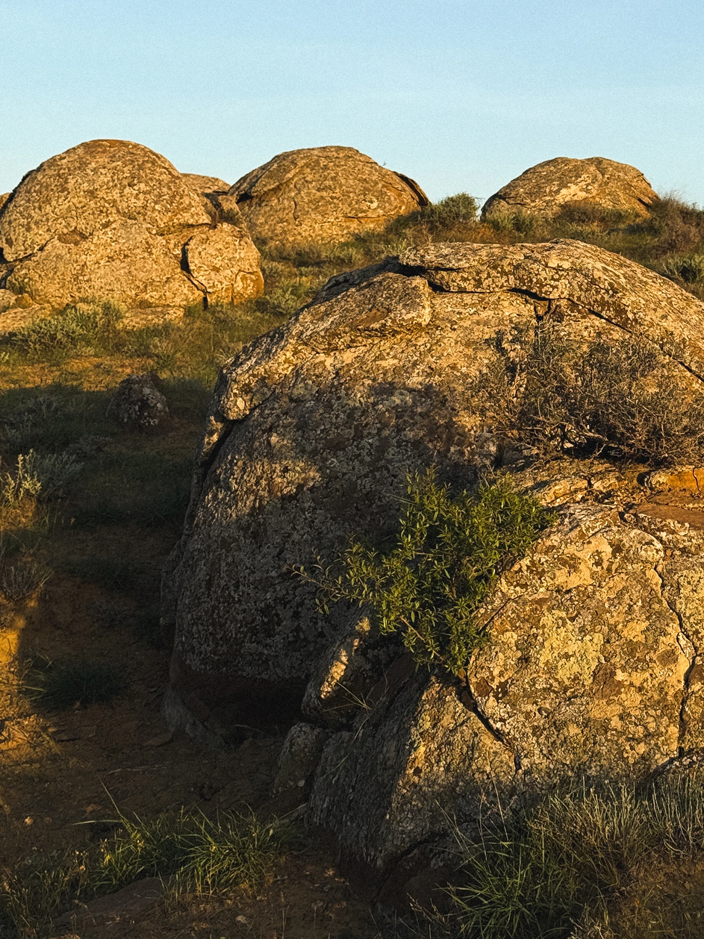 Моя пустыня, моя Дюна: гид по Мангистау