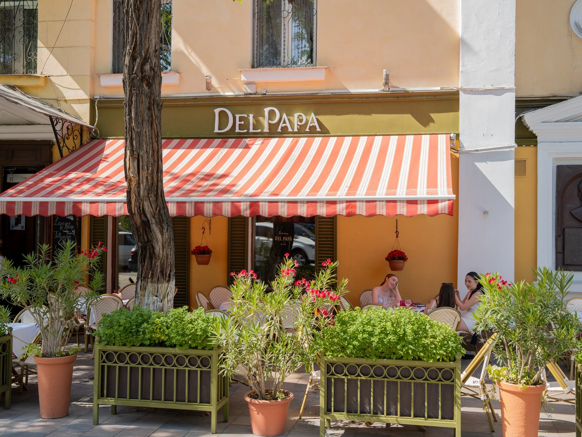 Әсем үстелдер: Алматының үздік жазғы алаңқайлары