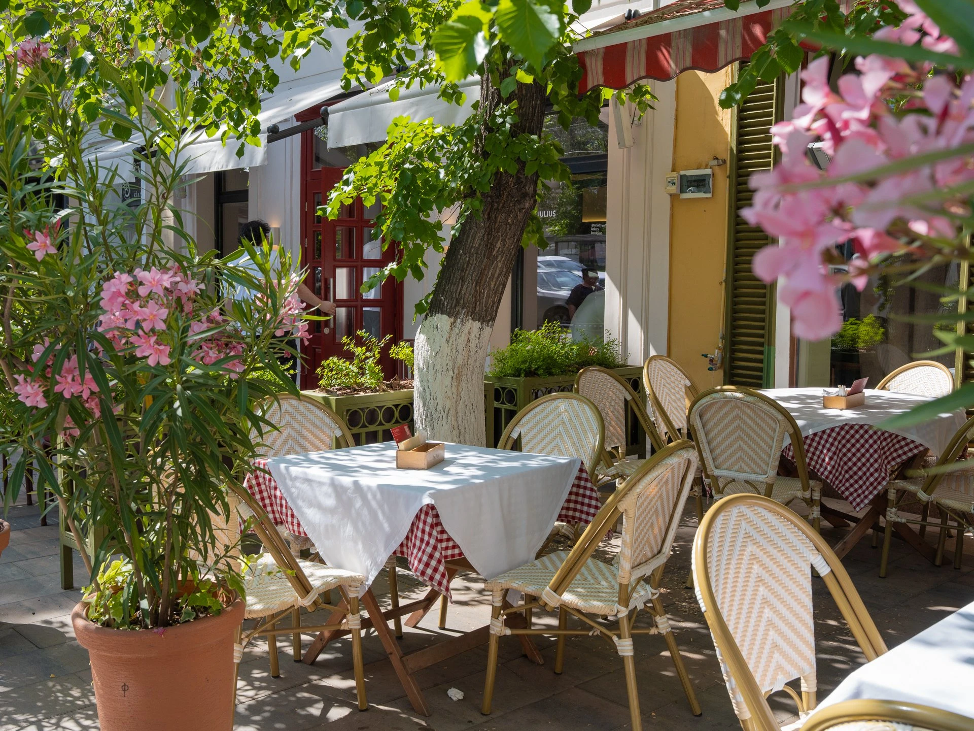 Әсем үстелдер: Алматының үздік жазғы алаңқайлары