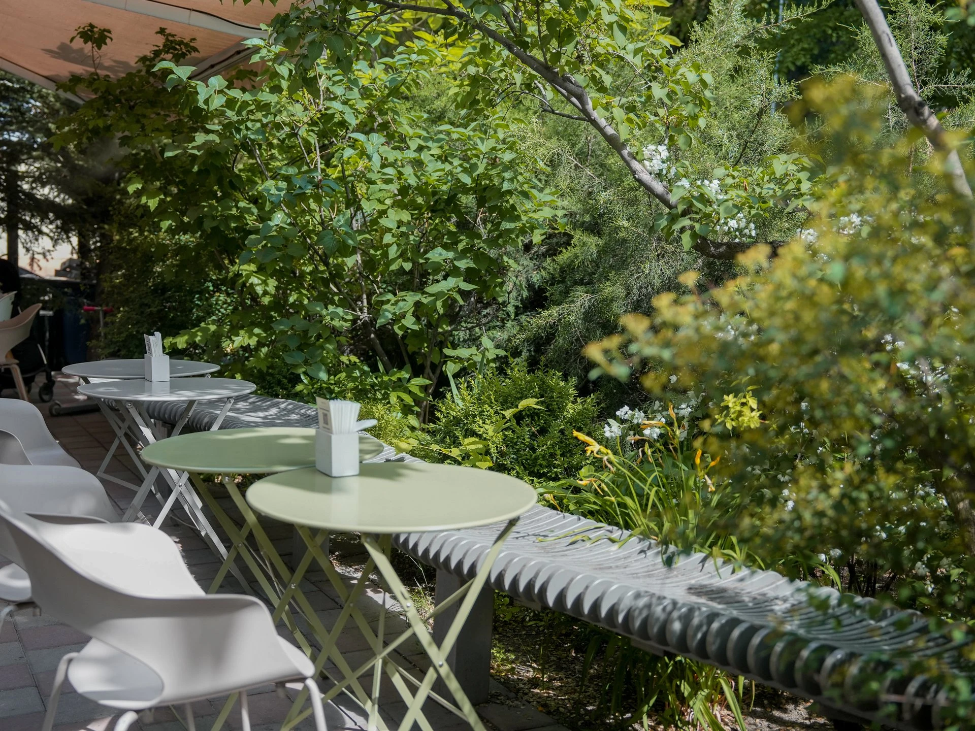 Әсем үстелдер: Алматының үздік жазғы алаңқайлары