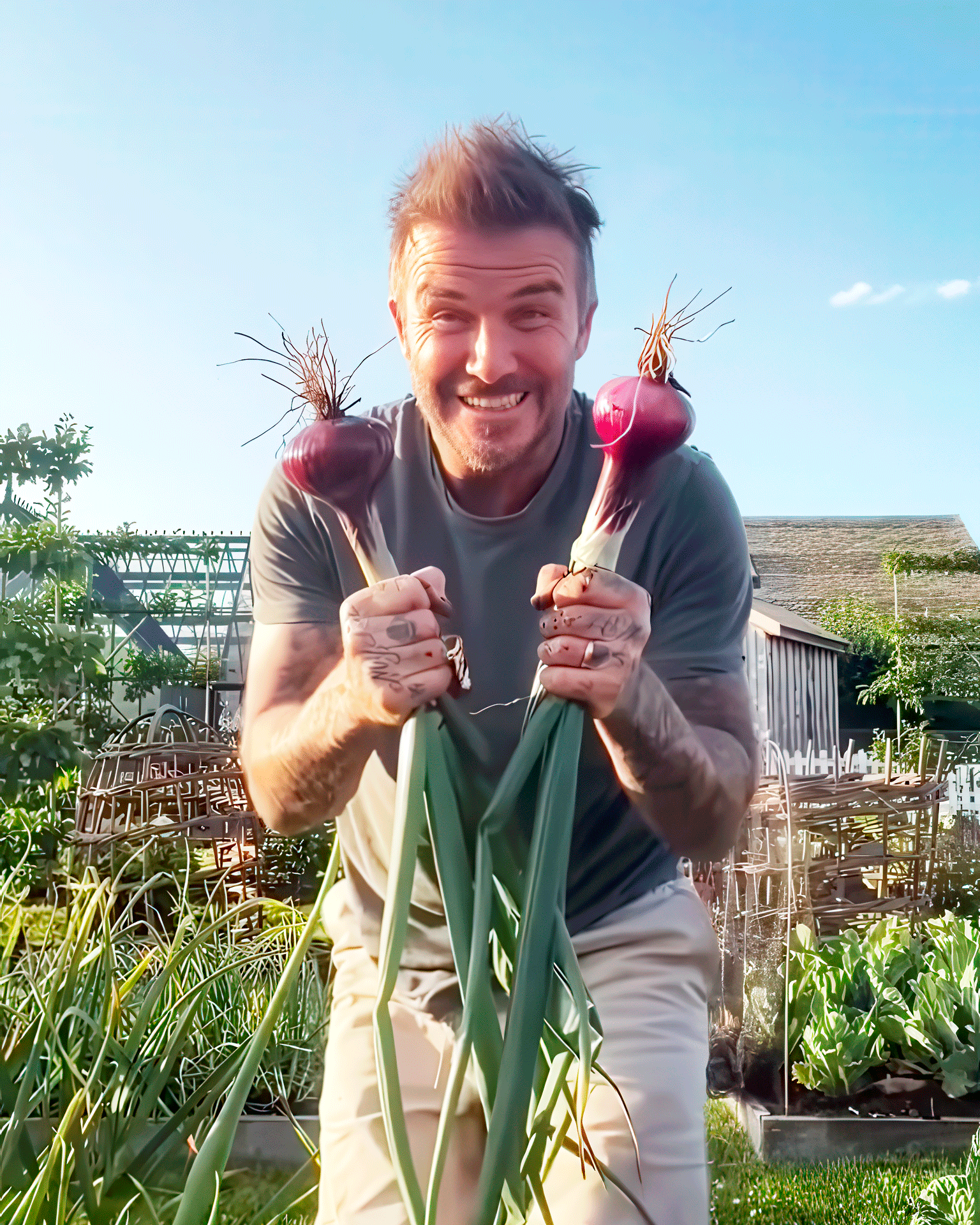 Cэр Дэвид Бекхэм | Личный архив (Instagram)