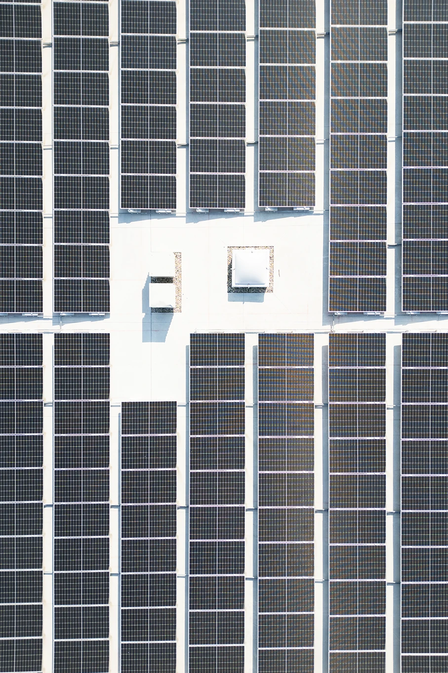 Bvlgari на страже экологии