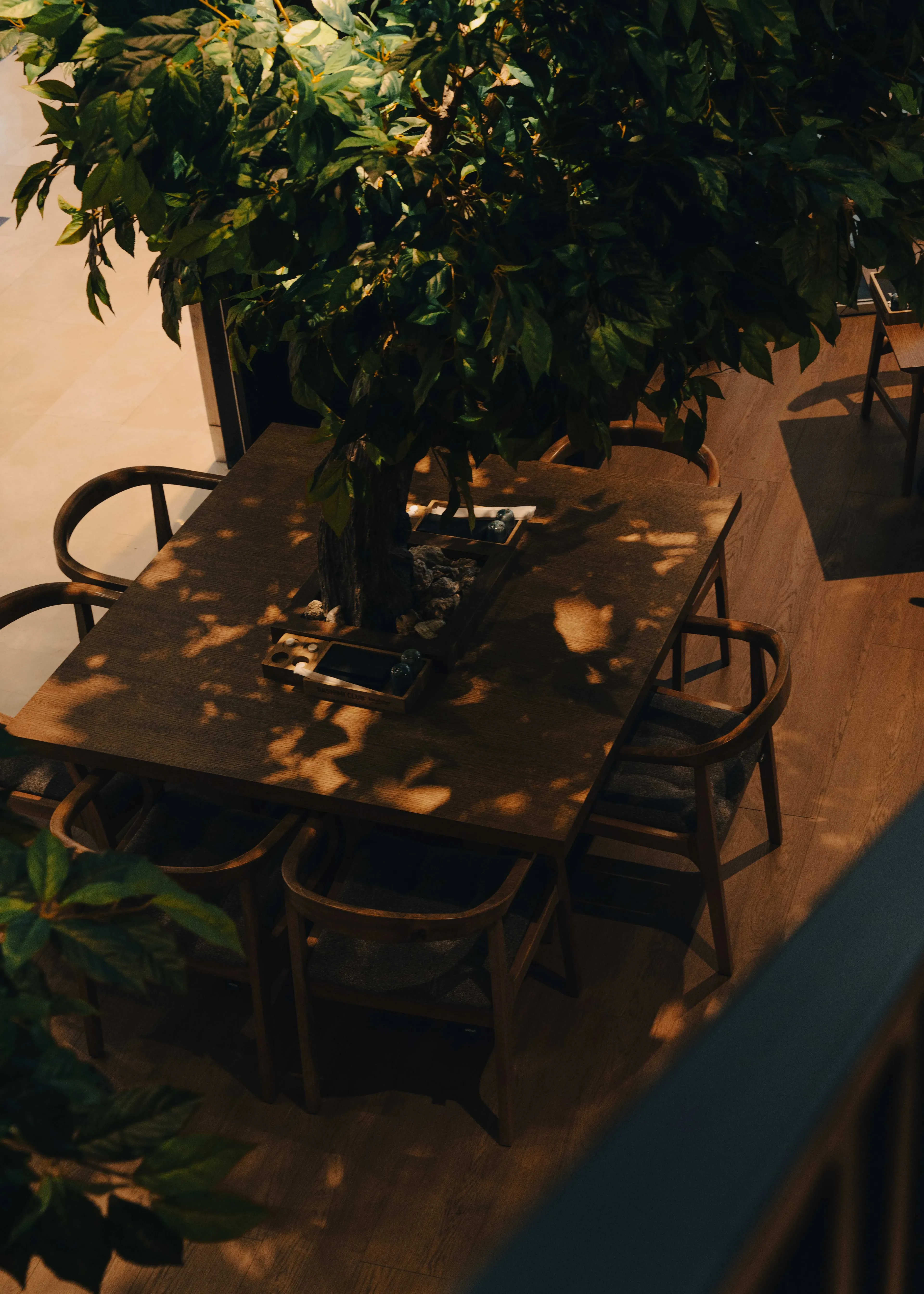 Алматының жаңа орындары: Қонаевтың пәтері, баспалдақтағы бар және тағы басқалар