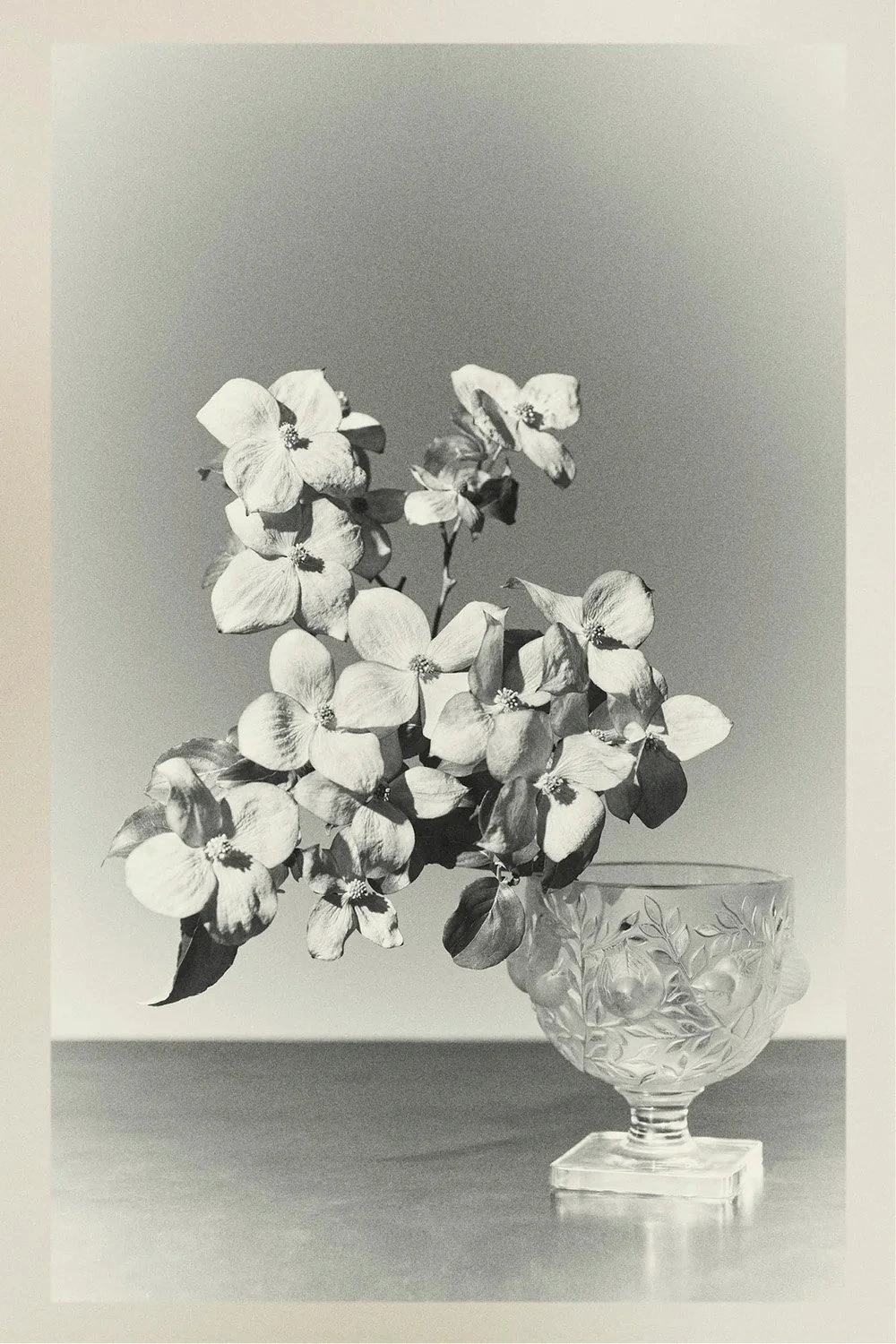 Красота момента в весеннем кампейне The Row