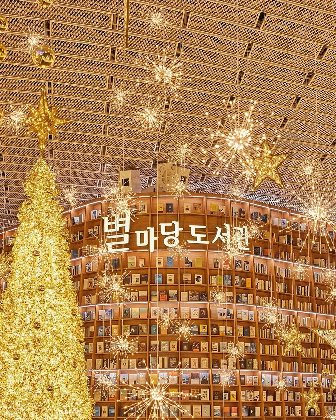 Библиотека Starfield | Instagram @starfield.library