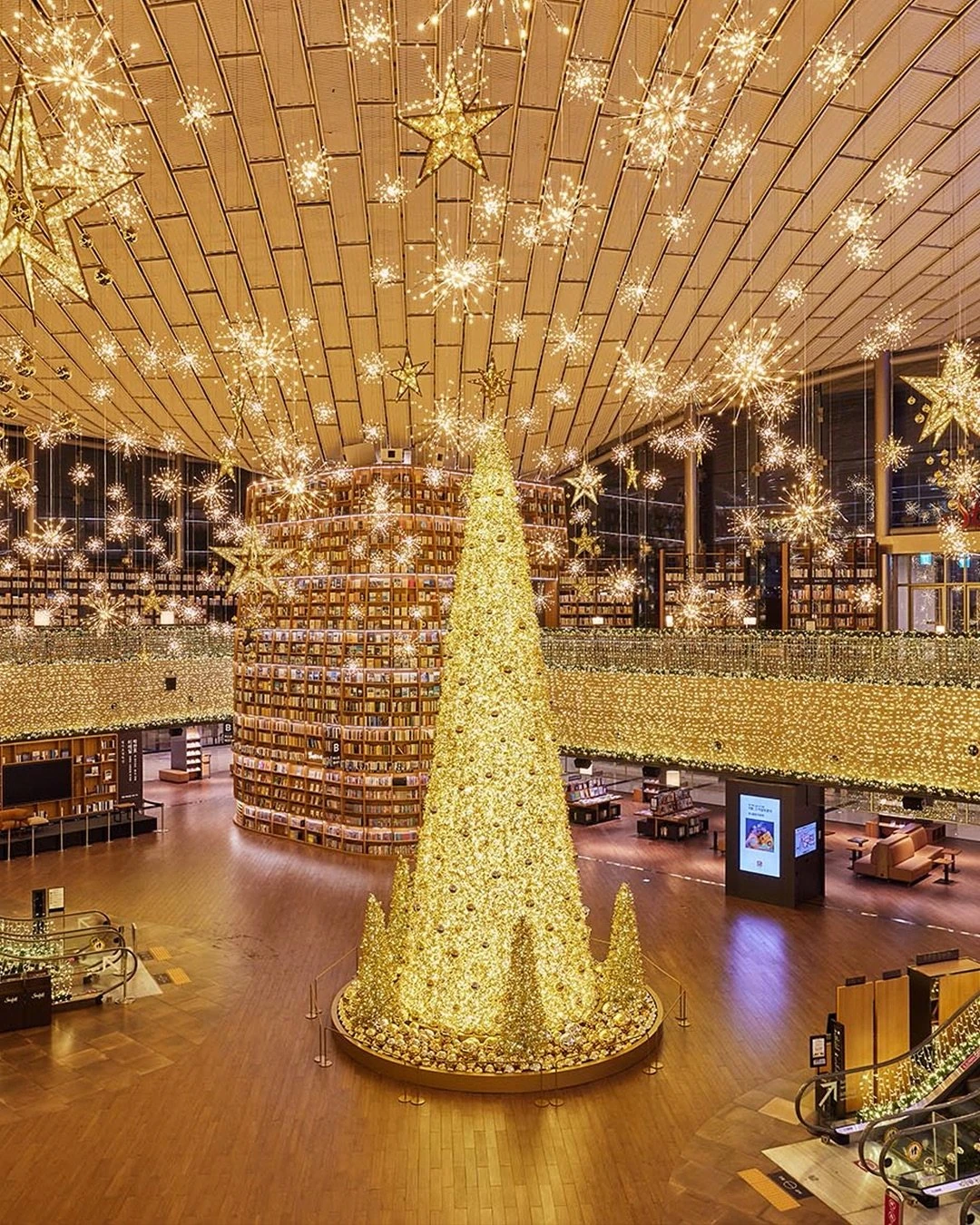 Библиотека Starfield | Instagram @starfield.library