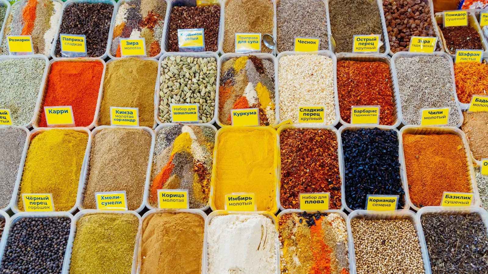 Фото: Тимур Омуралиев