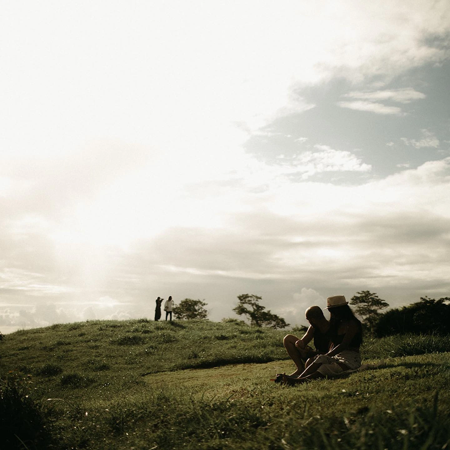 Фото: theark.world