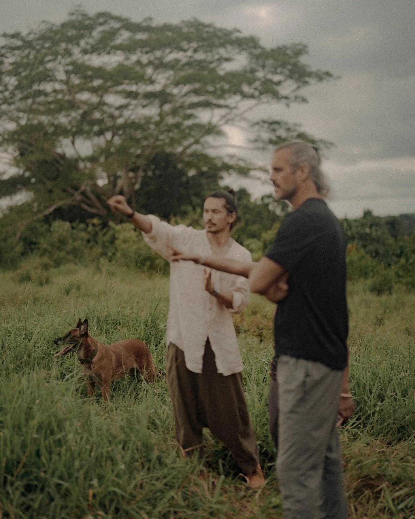 Фото: theark.world