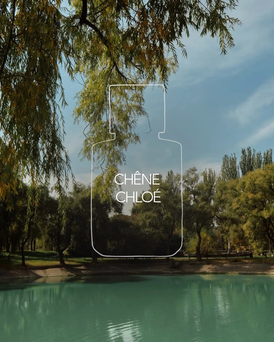 Как пахнет Алматы: восемь ароматов с ностальгией о городе