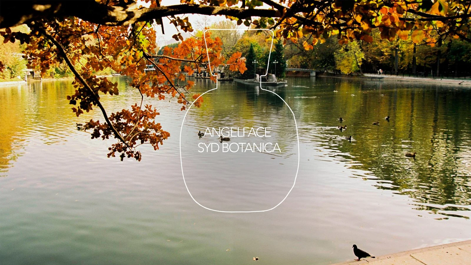 Как пахнет Алматы: восемь ароматов с ностальгией о городе