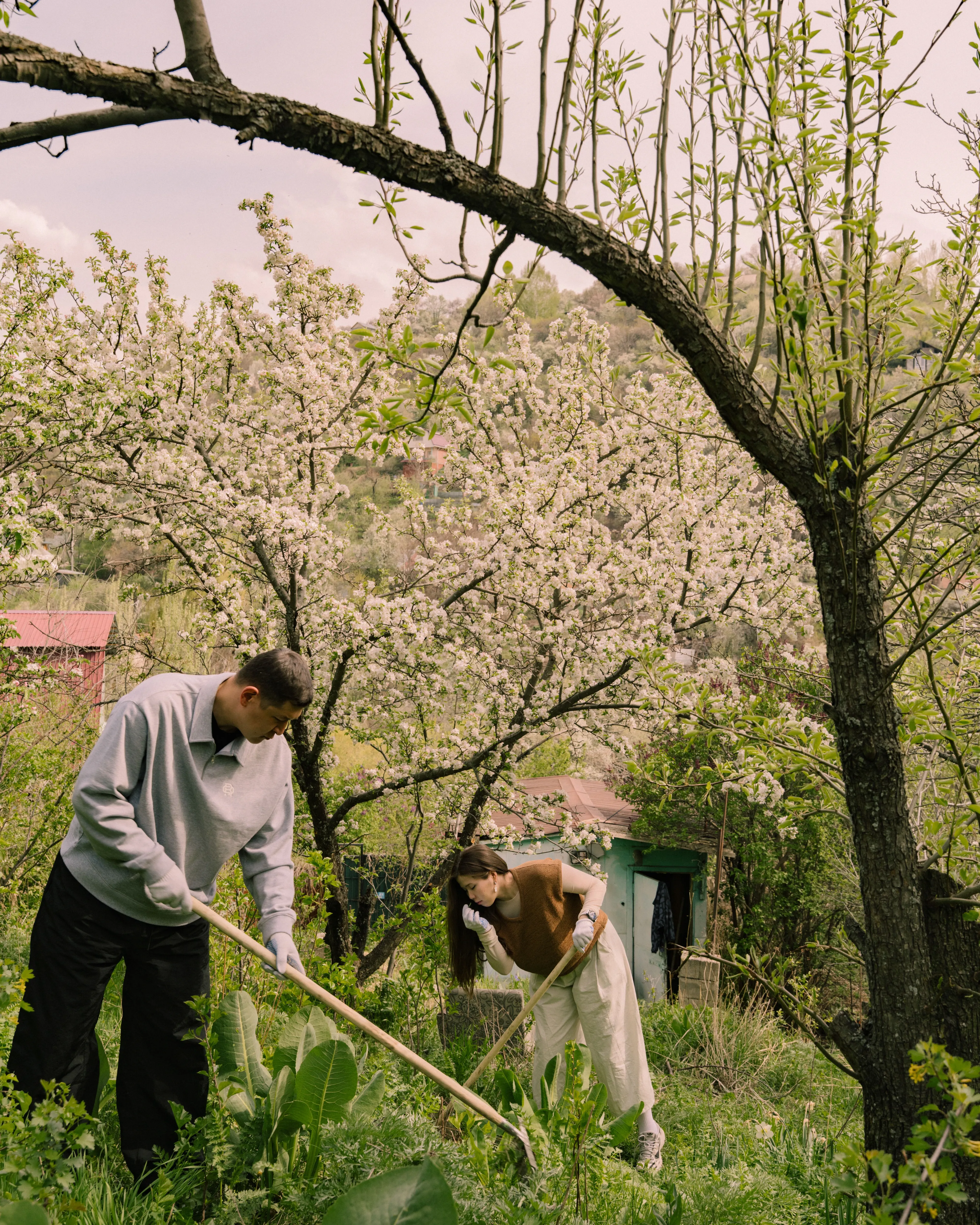 Тренд на дачи: почему миллениалы и Z покупают загородные дома