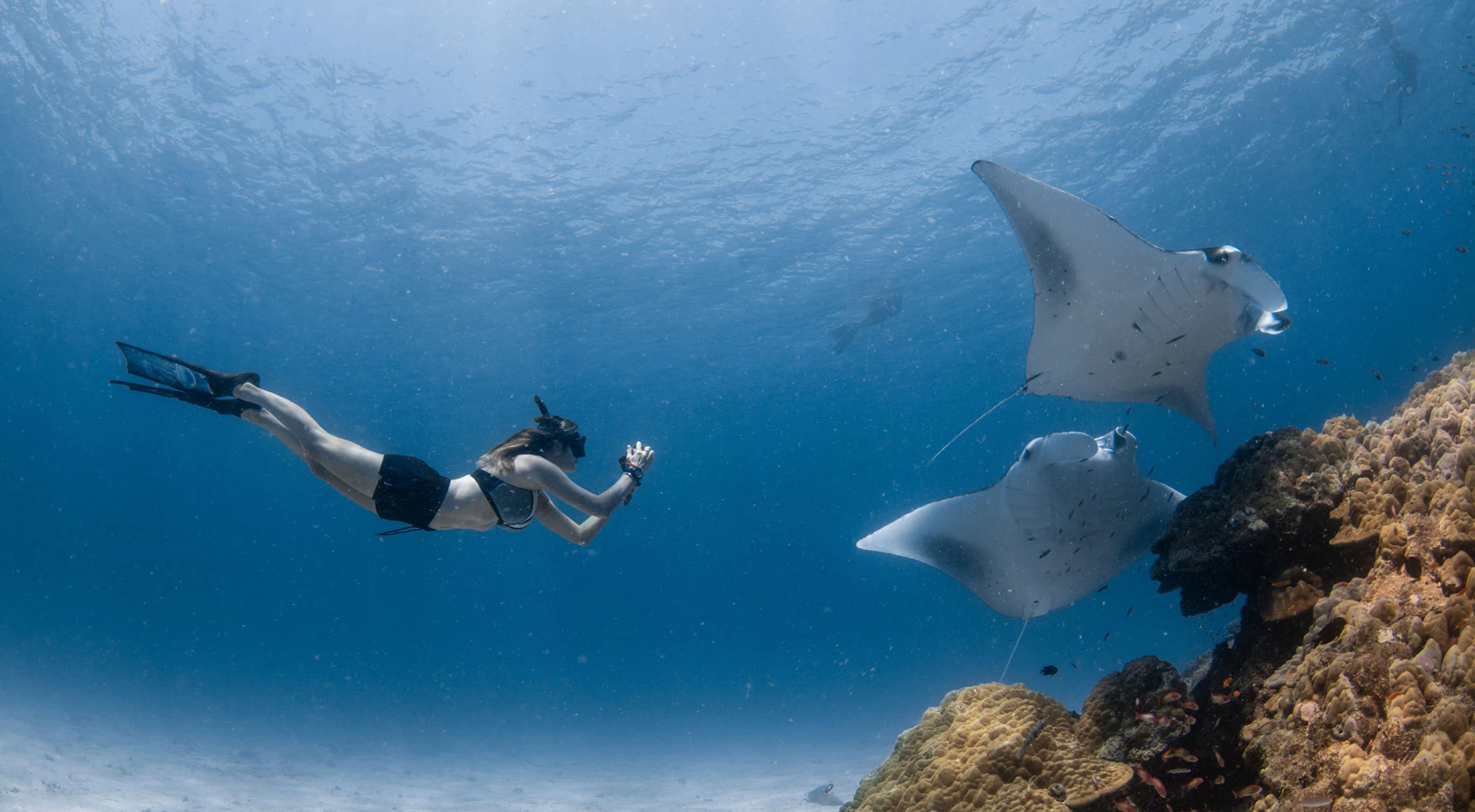 Архив пресс-службы