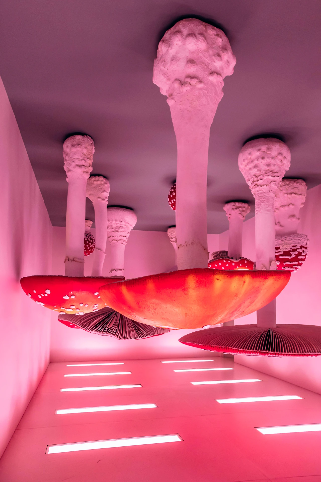 Carsten Höller Upside-Down Mushroom Room | Alamy