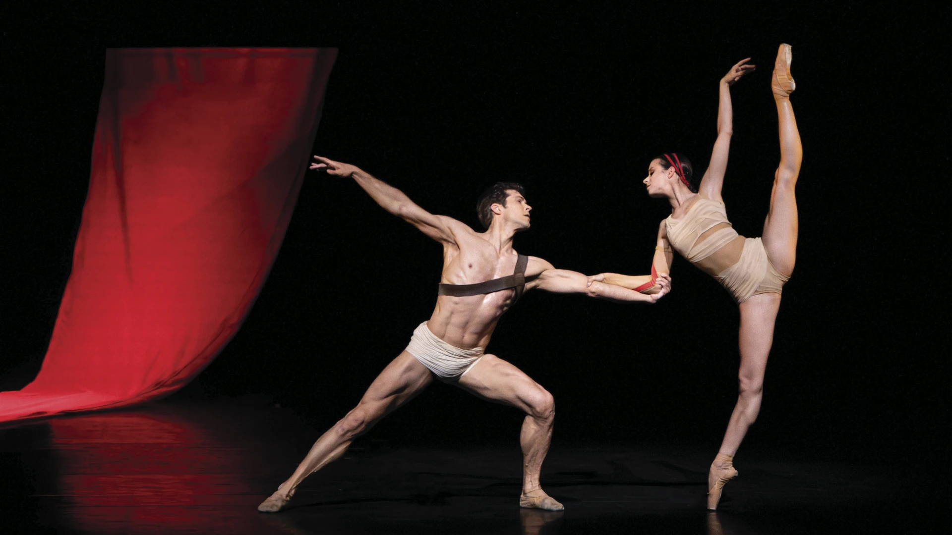 Фотограф: Деннис Курсио