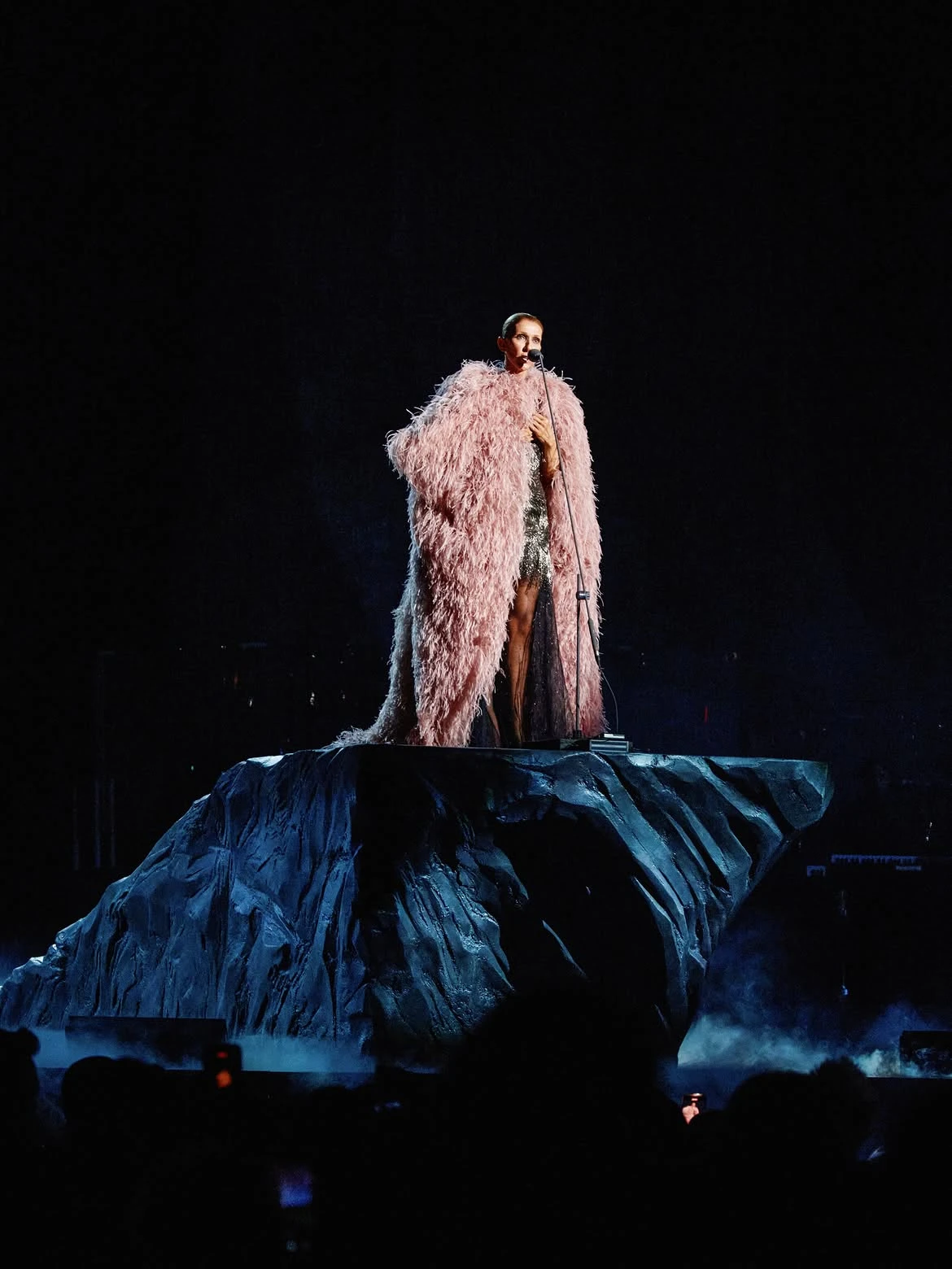Селин Дион | Instagram Givenchy