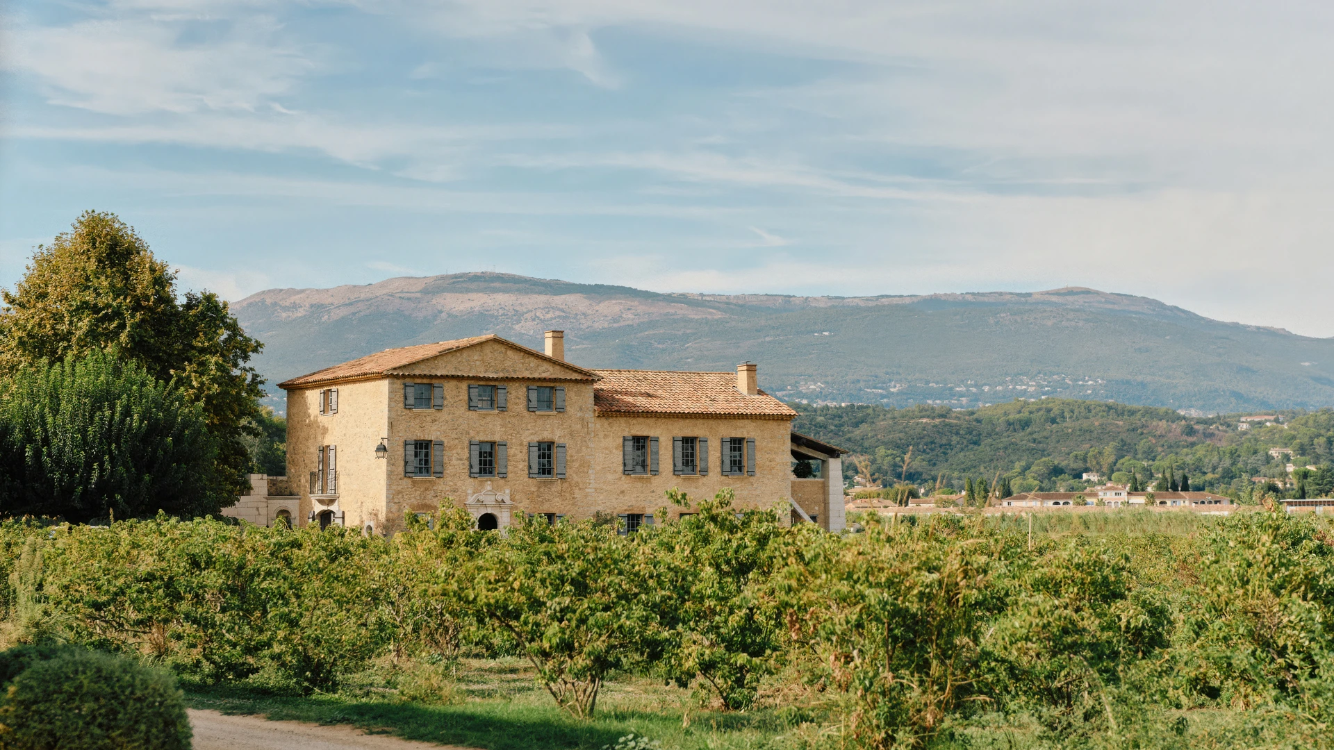 Грасстағы гүл алқаптары. Мұнда Chanel хош иістерінің негізгі компоненттері — жасмин, мамыр раушаны, қазтамақ және ирис өсіріледі | Chanel баспасөз қызметі