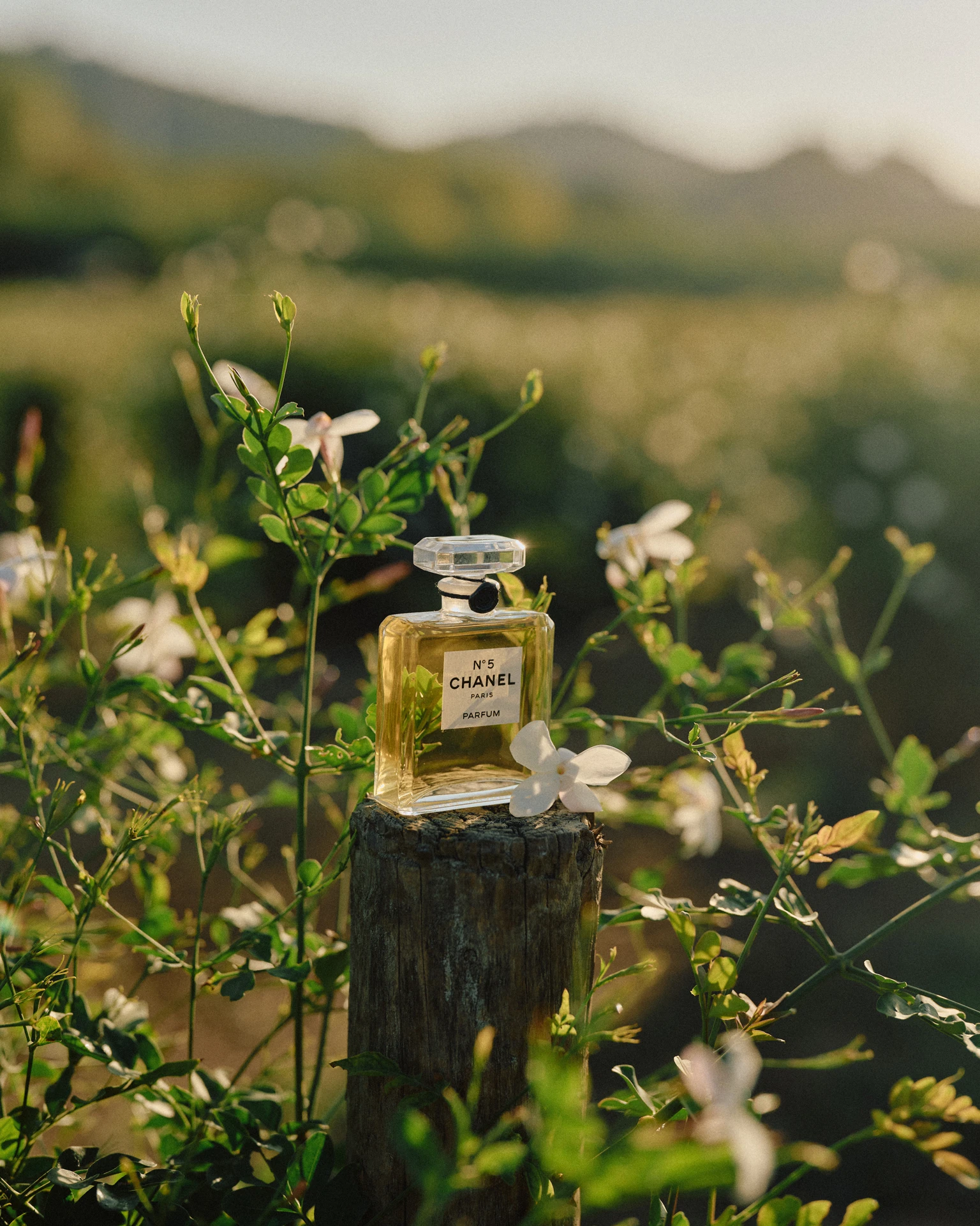 Chanel баспасөз қызметі