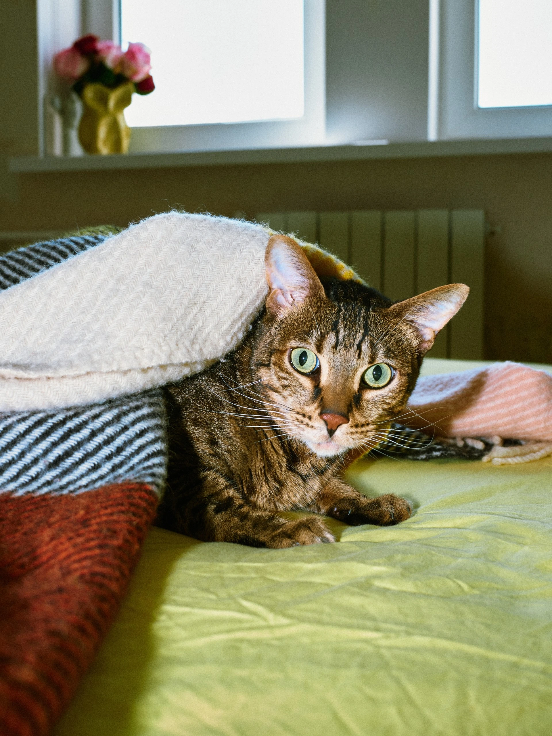 Фотограф: Нуртас Сиссекенов