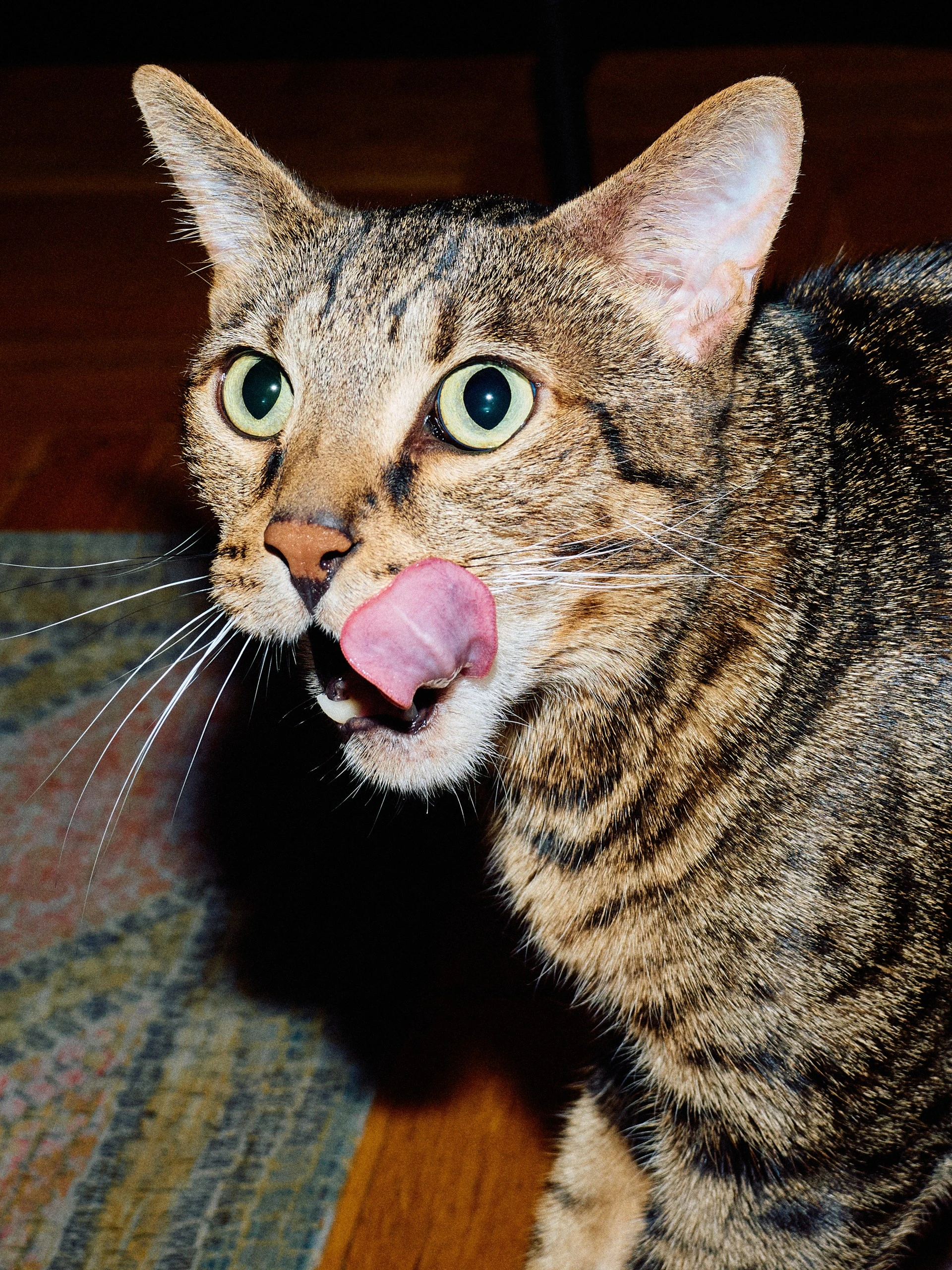 Фотограф: Нуртас Сиссекенов