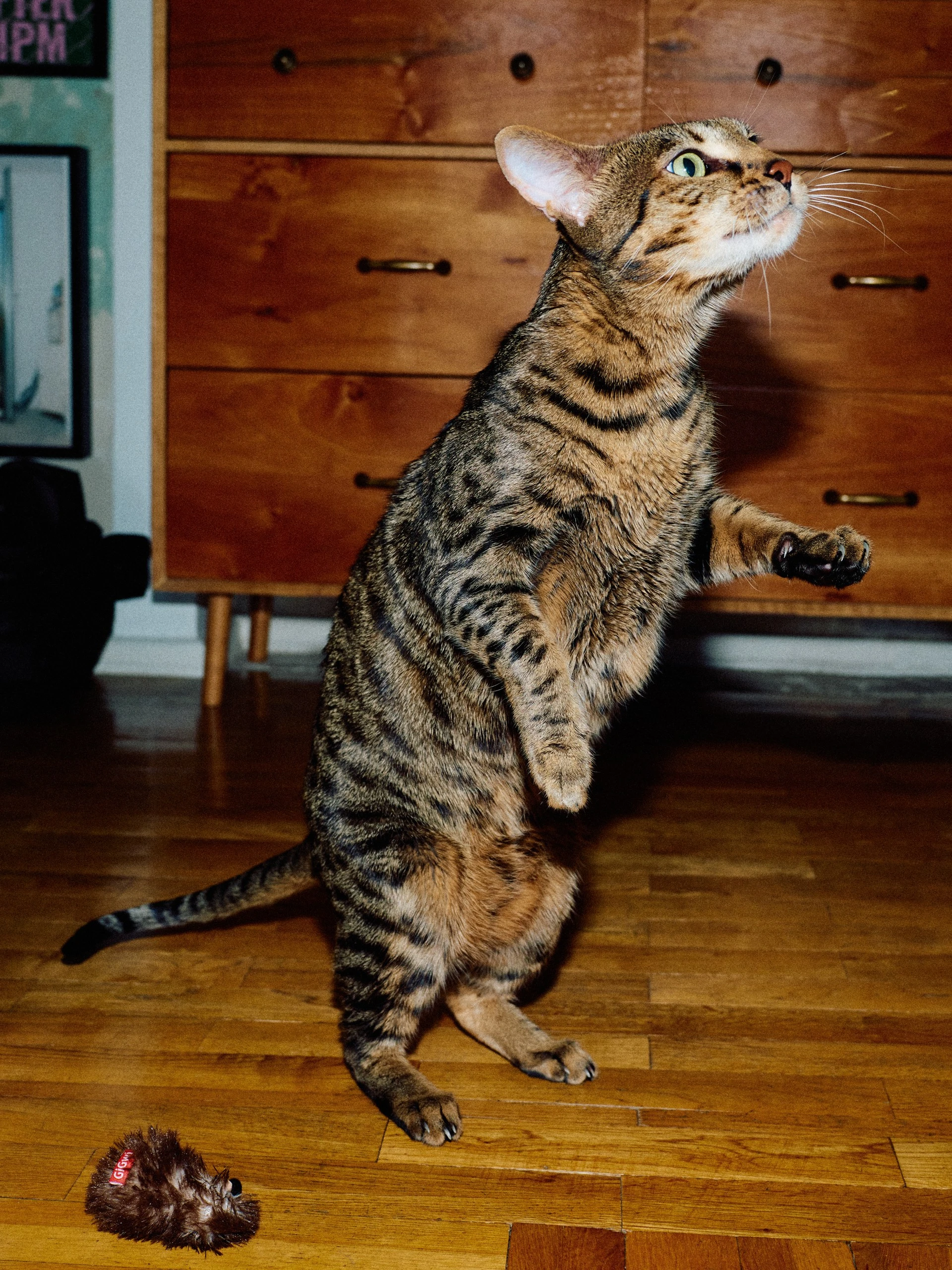 Фотограф: Нуртас Сиссекенов