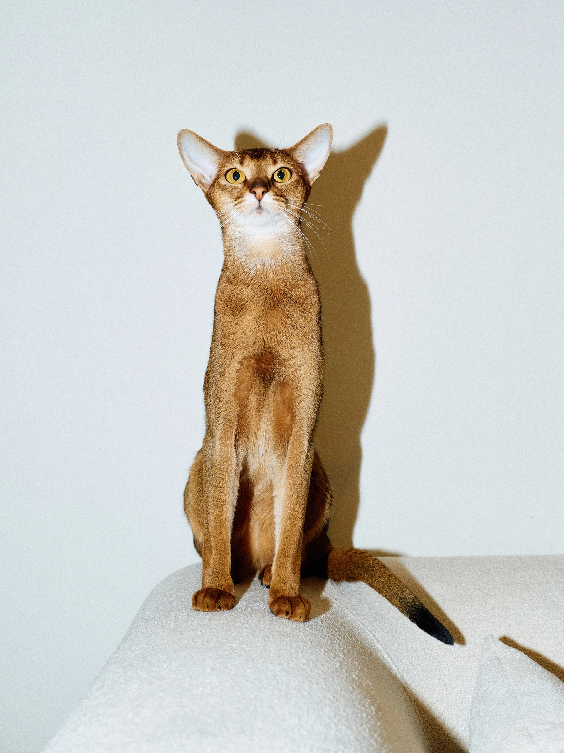 Фотограф: Нуртас Сиссекенов