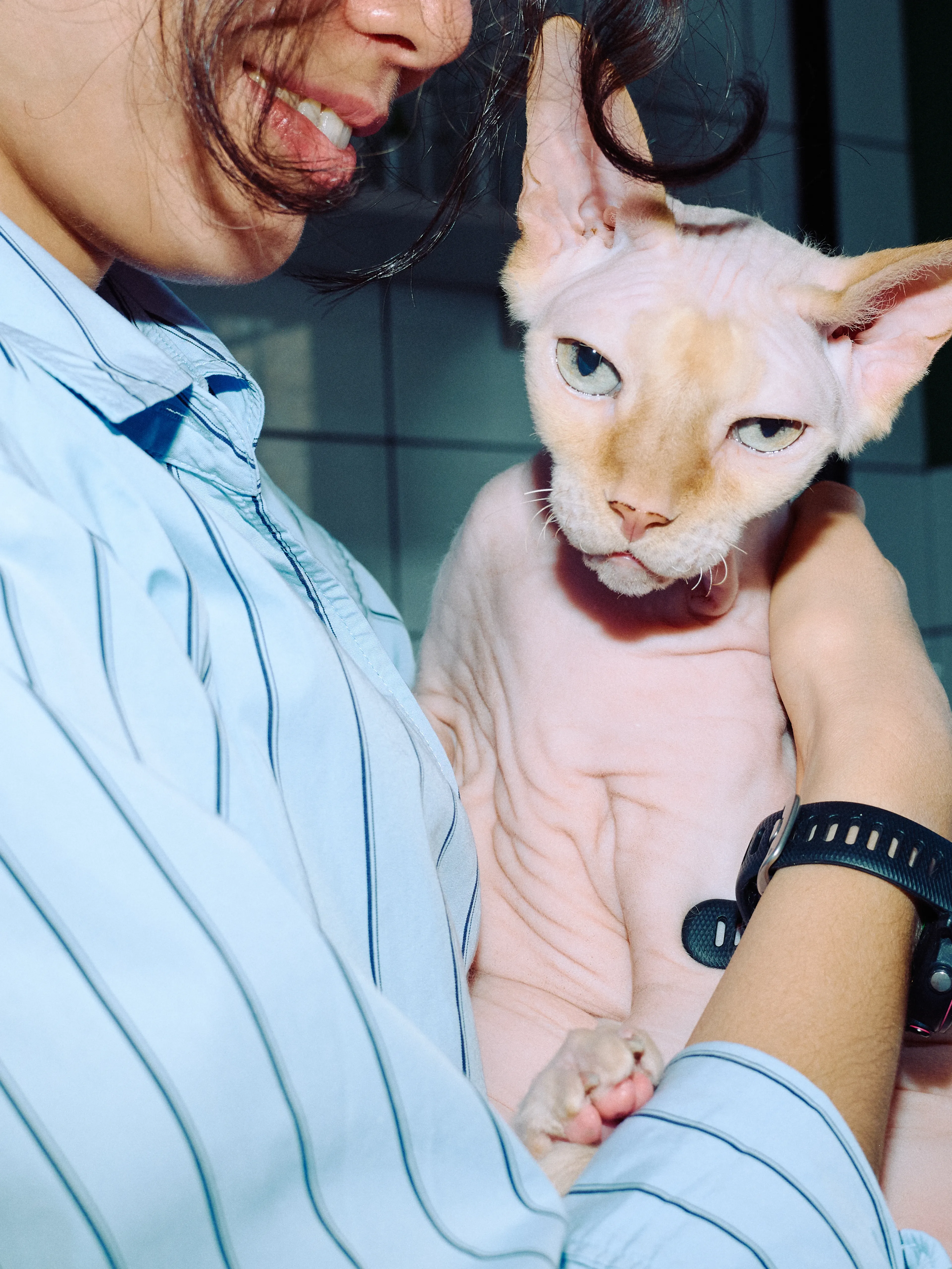 Тиграша | Фотограф: Нуртас Сиссекенов