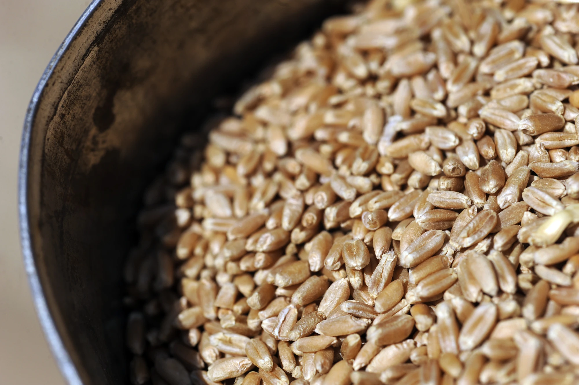 Karl Gehring | Getty Images