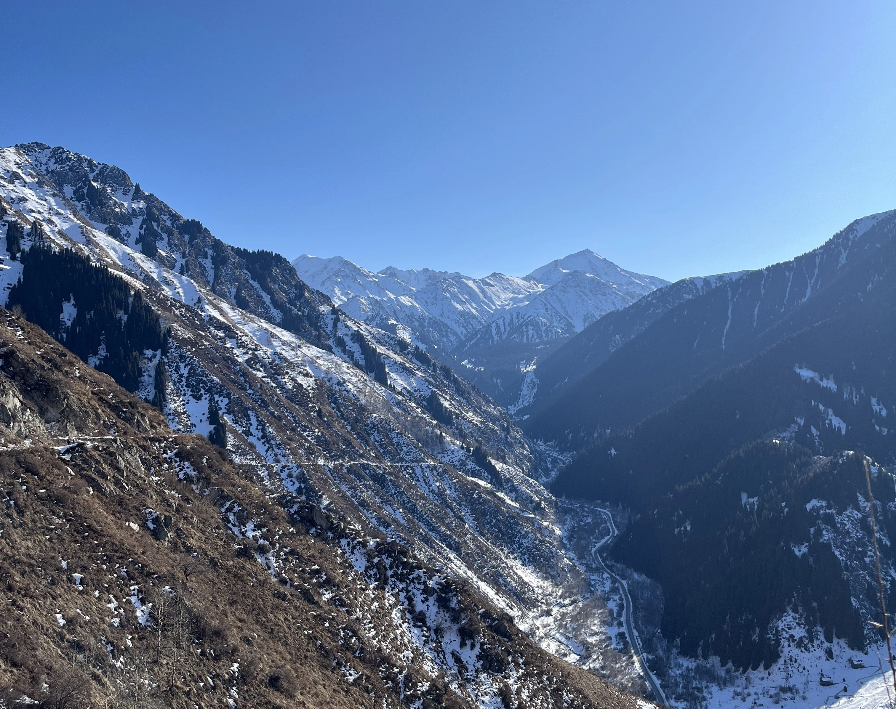 Алматинские горы | Фото: Виктория Лебедева