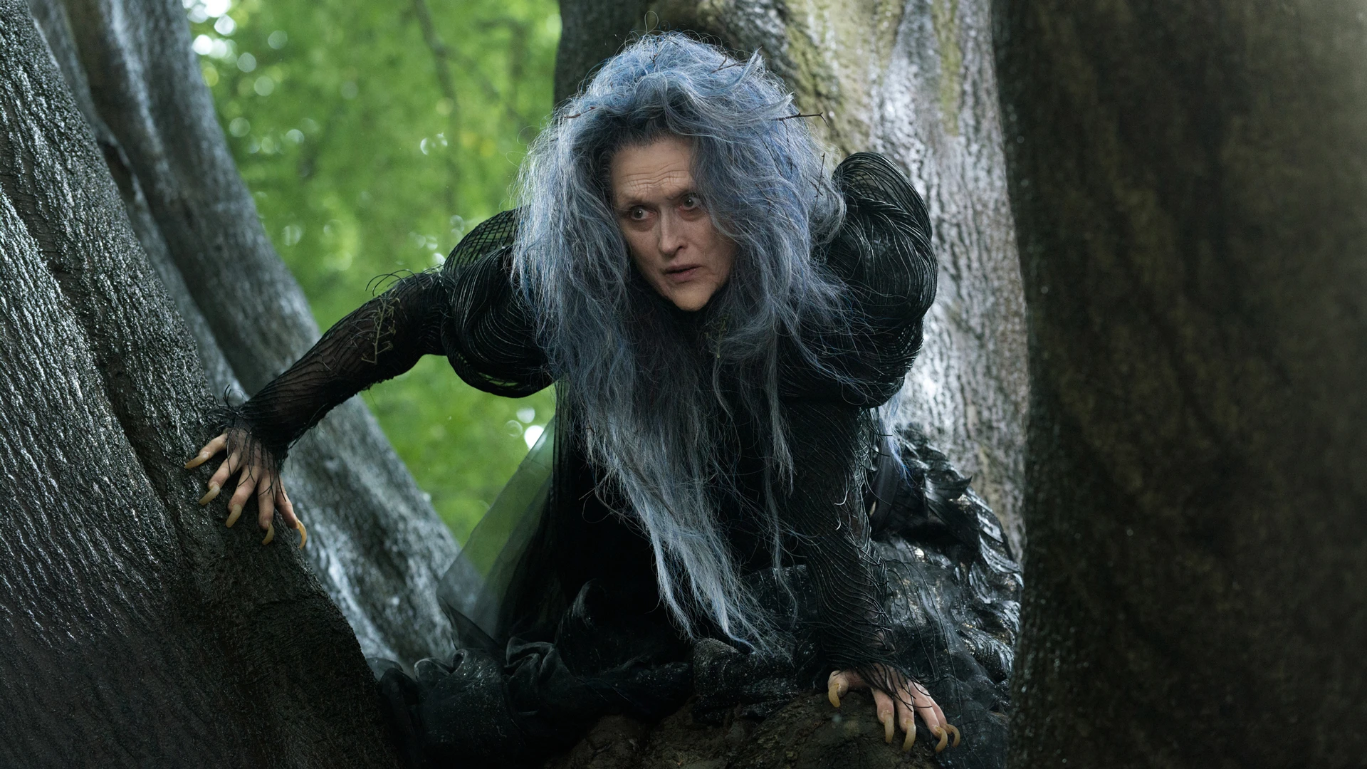 Into the Woods фильмінен кадр | IMDb