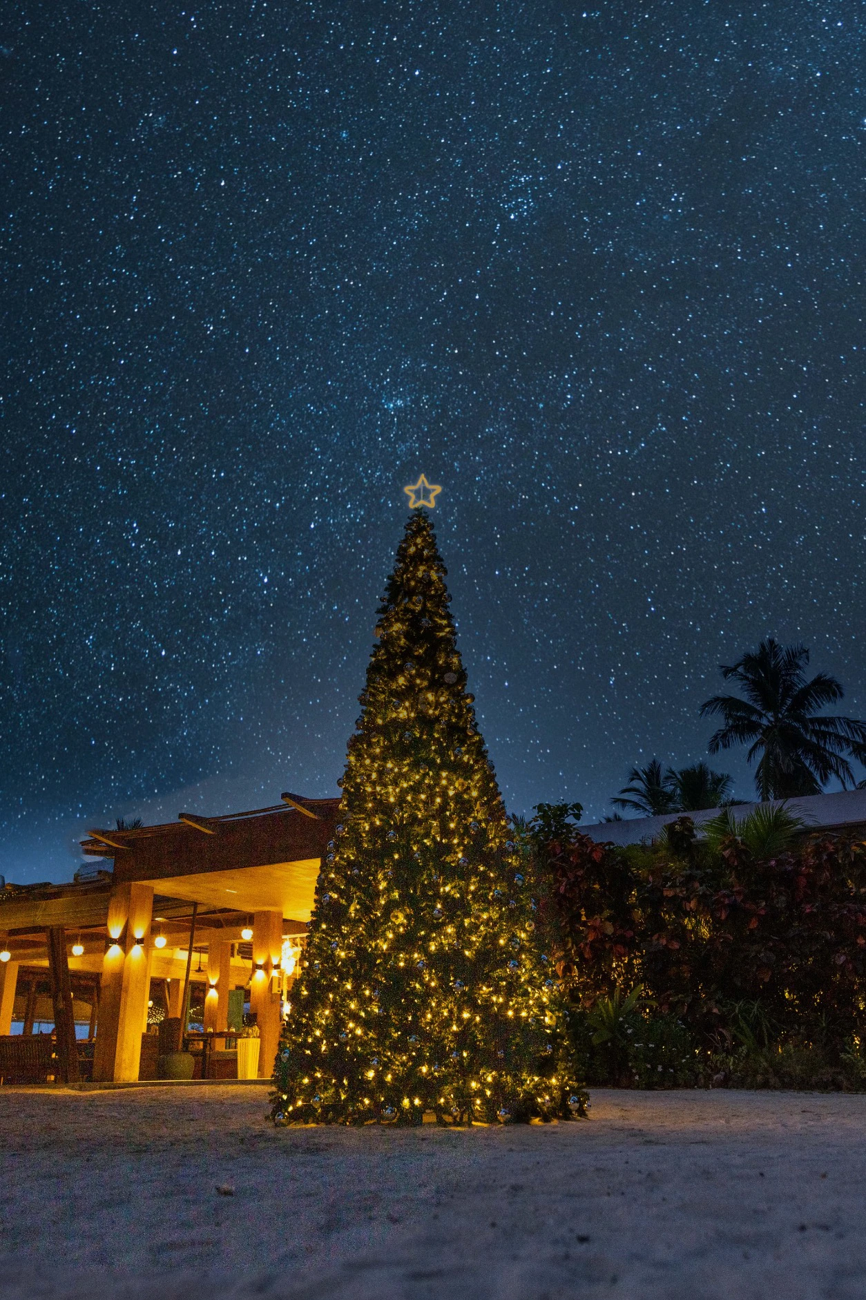 Рождественская елка в отеле Sirru Fen Fushi Maldives | Архивы пресс-служб
