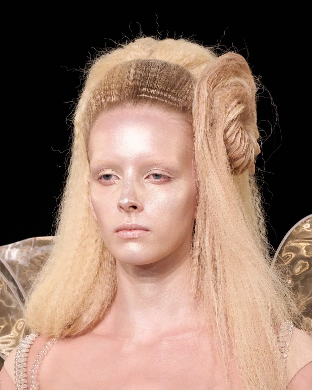 Van Herpen | Показ осень-зима 2026 | Spotlight