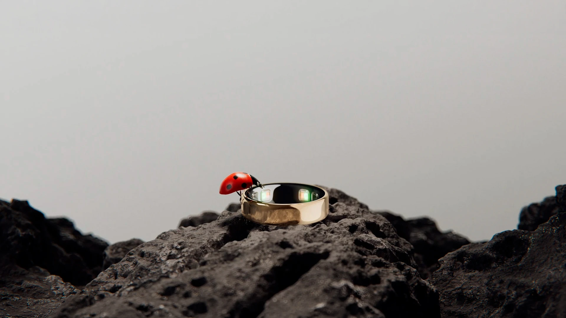 Официальный сайт Oura Ring